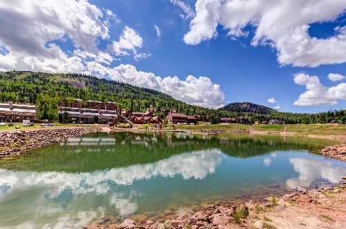 Forced Family Fun image 2