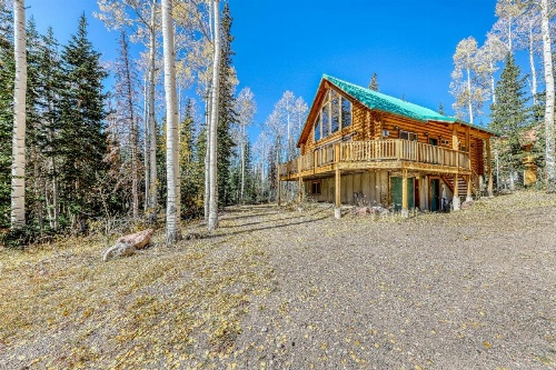 Forced Family Fun image 25